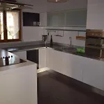 Iris Novigrad Istria