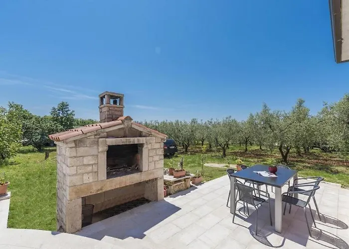 Iris Novigrad Istria