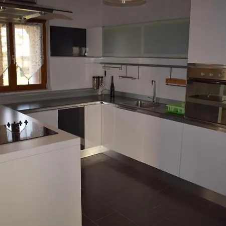 Iris Novigrad Istria