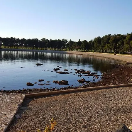 Iris Novigrad Istria