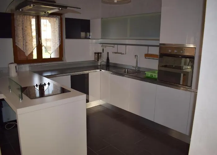 Iris Novigrad (Istria)