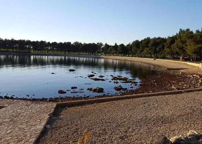 Iris Novigrad (Istria)